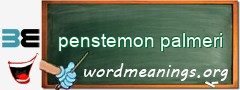 WordMeaning blackboard for penstemon palmeri